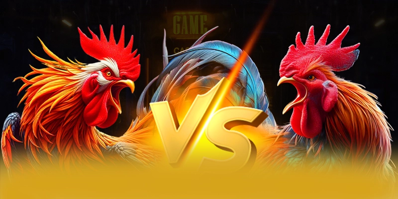 W88 - Nhà cái cung cấp hàng trăm tựa game đẳng cấp tại Việt Nam